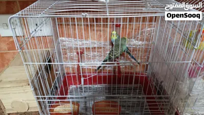 undefined 3
