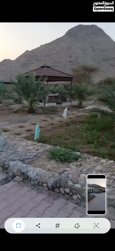 للبيع مزرعه وبيت في نخل طوي القرون 3