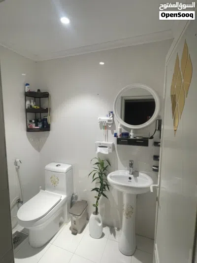 مطلوب شاب جامعى من وجه بحرى مشاركه استديو 4
