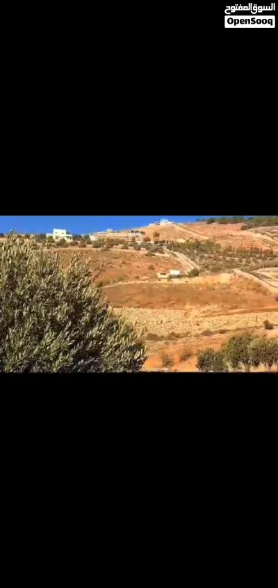 مزرعه للبيع في جرش 4