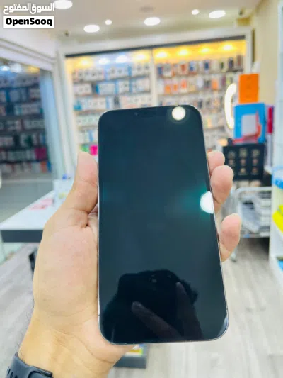 IPhone 13 Pro Max Alpine Green color 3