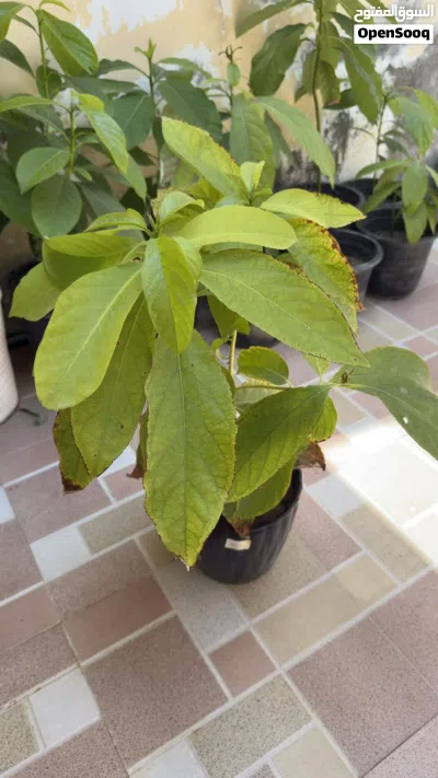 undefined 2