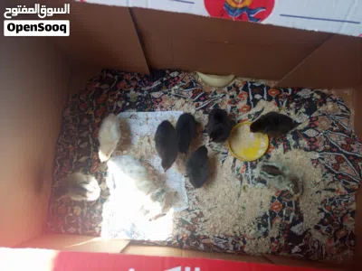 undefined 2