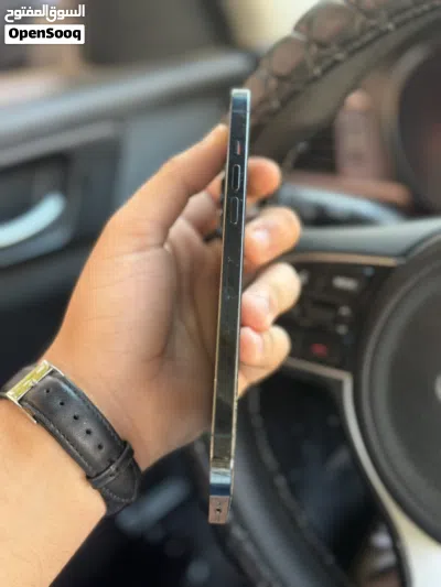 12pro max محلي 3
