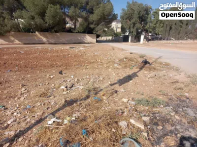 عين الباشا بجانب مستشفى الأمير حسين 2