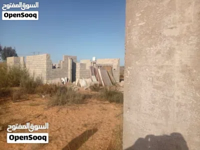 هيكل بلفوسكيه عليا دين ونبي نبيع الجنين بحدا سوق السيارات كاش او تحويل كنت عارض ب25 2