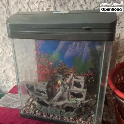 حوض سمك مع اكسسواراته 2