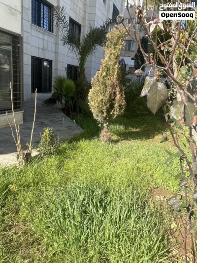 شقة ارضية 435 متر في - الرابية - بموقع مميز جدا 4 ماستر و حديقة واسعة (id 191906) 2