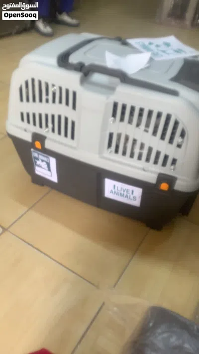 Cat and small dogs crate large IATA approved 2