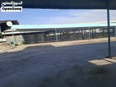 معرض سيارات للإيجار بشكل شهري المنطقه الحره الزرقاء بسعر مغري 2