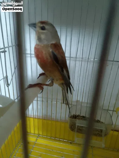 undefined 2