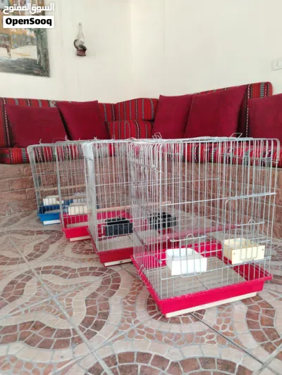 اقفاص كاسكو بسعر مغري عدد 4 بحالة ممتازة 3