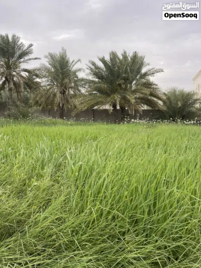 مطلوب مكتب للإيجار في نزوى منطقة فرق 3