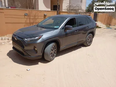Toyota RAV 4 LE 3