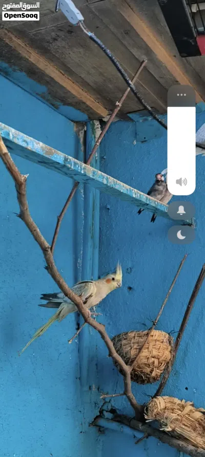 undefined 2