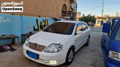 undefined 3