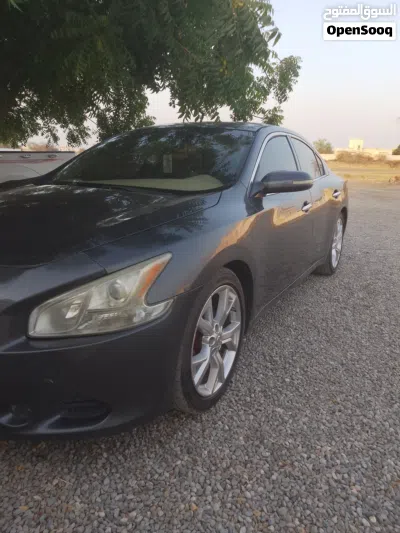 Nissan Maxima S 2