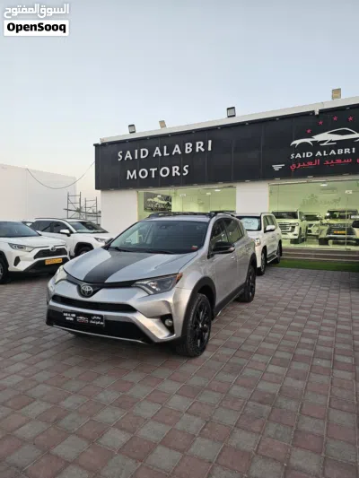 Toyota RAV 4 XLE 3