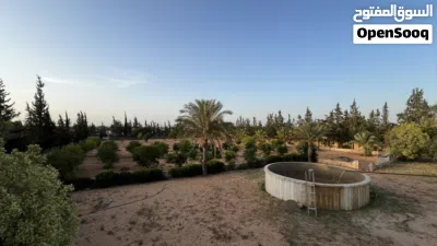 مزرعة للبيع في منطقة وادي الربيع 4
