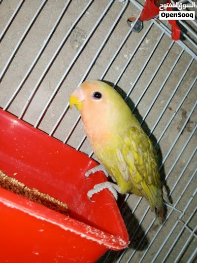 undefined 2