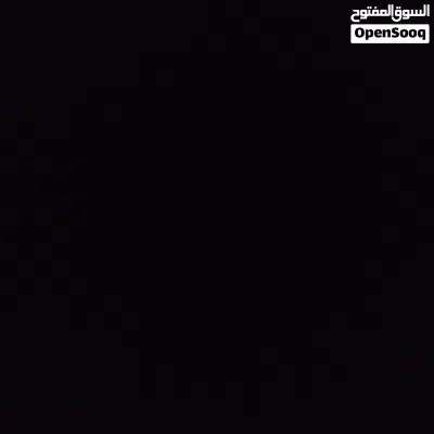مطلوب دجاج براهما زوز دجاجات وفروج تبديل كوبيا باقلينو تحتها زوز فروخ ويكونوا دجاجات اقرا المواصفات 3