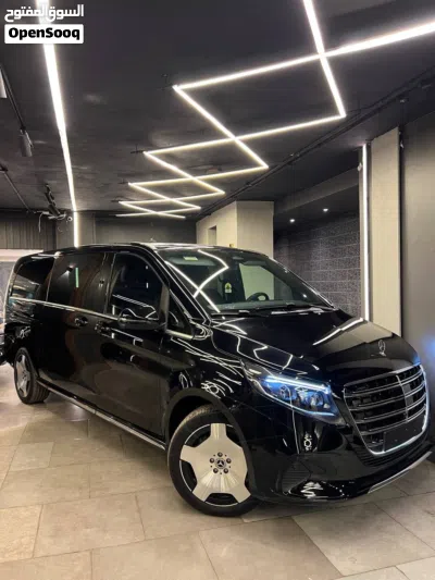 Mercedes Benz V-Class V 300 2