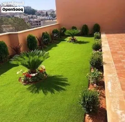 بسم الله الرحمن الرحيم حرق الأسعار علا النجيل m5الامريكي نخب اول سعر المتر 6د مزروع جاهز تواصل 3