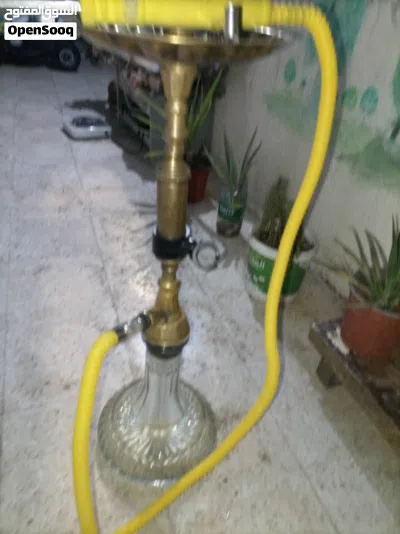 احلا نفس تفاحتين 2
