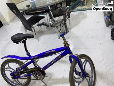 SW- Aluminium Rim Bicycle 3