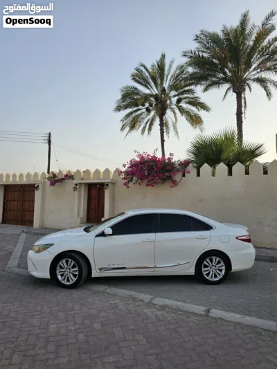 Toyota Camry LE 2