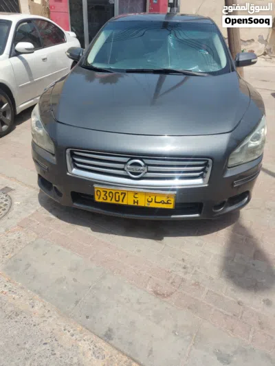 Nissan Maxima Standard 2