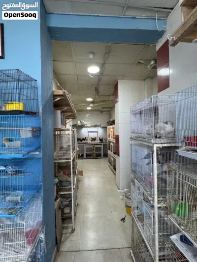 Shop for sale 2