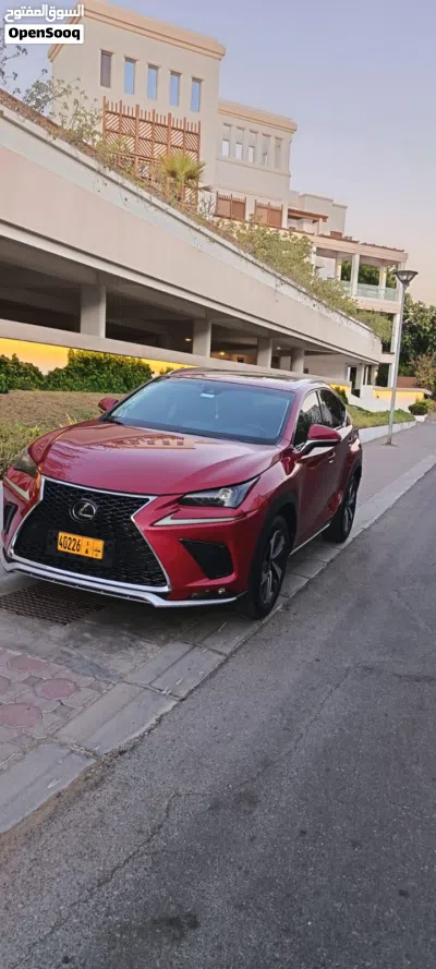 Lexus NX NX 300 4
