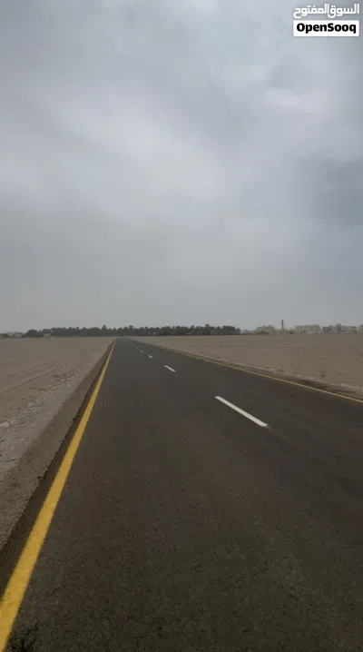 أرض زراعية في بركاء الصومحان الجنوبية، موقع ممتاز و استراتيجي و أرض خصبة وعلى الشارع السريع. 4