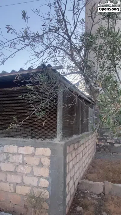حديد مفصل للزاريب وقواعد تعليق أقفاص أرانب وغطاء زينقو وقربج ألمونيوم + 5 طوبوات بيادجا 2