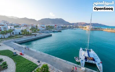 فرصة نادرة لامتلاك مزرعة أوليف بغرفة نوم واحدة في جبل سيفة 4