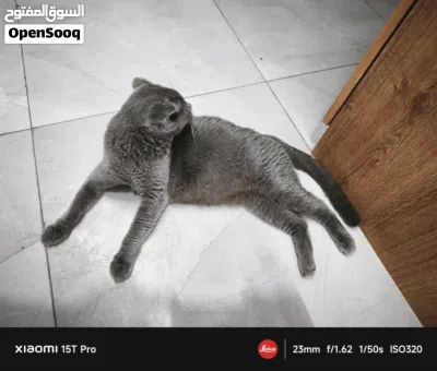 undefined 3