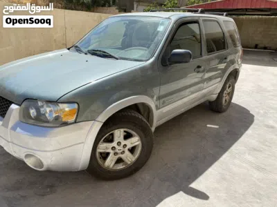 Ford Escape Standard 2