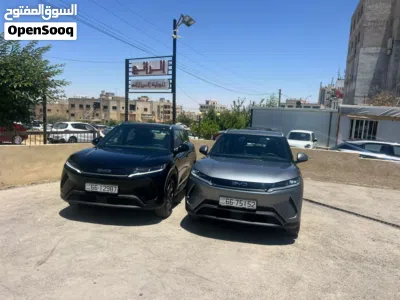 BYD Other 2