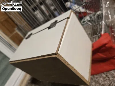 طيور حب شغالين للبيع 3