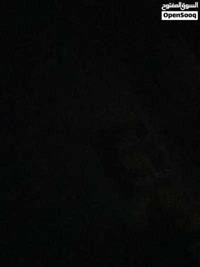 مطلوب شقة للايجار 2