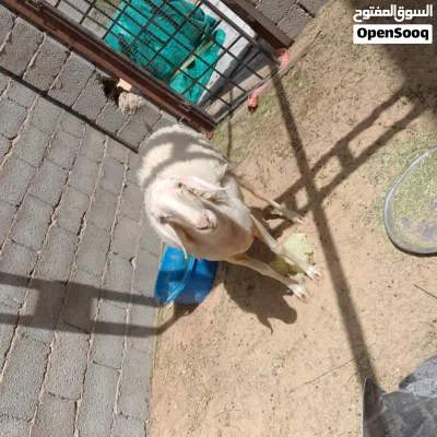 undefined 2
