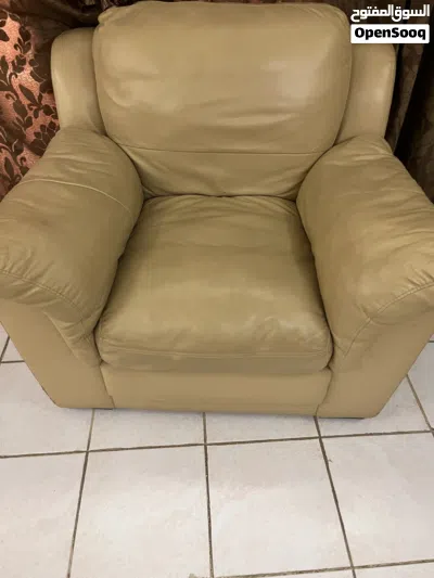 Leather Sofa set with center table, rug and two side tables 2