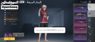 حساب ببجي للبيع 2