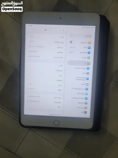 iPad mini 5 3