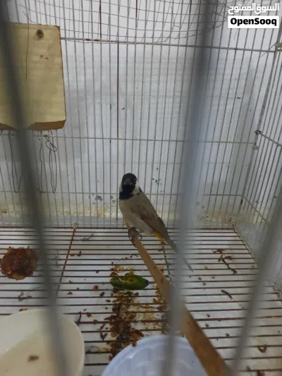 undefined 2