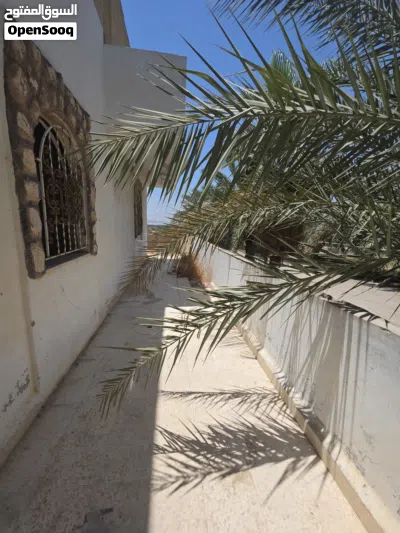 بيت منطقة السكنة/ الشونة الجنوبية 4