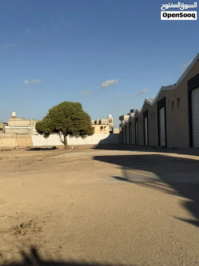 7هناقر في بوصنيب اجار السبعه42 4