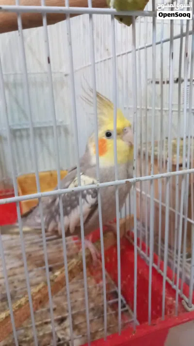 undefined 4