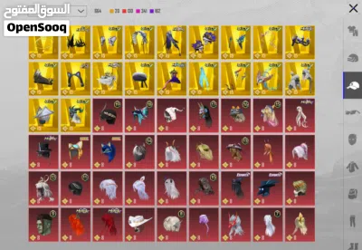 حساب ببجي للبيع Pubg account 3